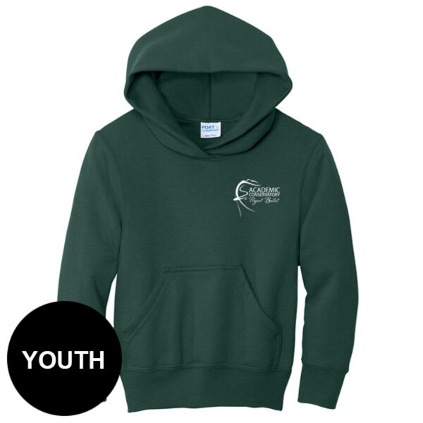 PC78YH - DIG - P323-S14.0-2026 - Youth Conservatory Pullover Hoodie Thumbnail