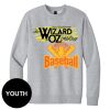 Project Ballet - Youth V.I.T. Fleece Crew Thumbnail